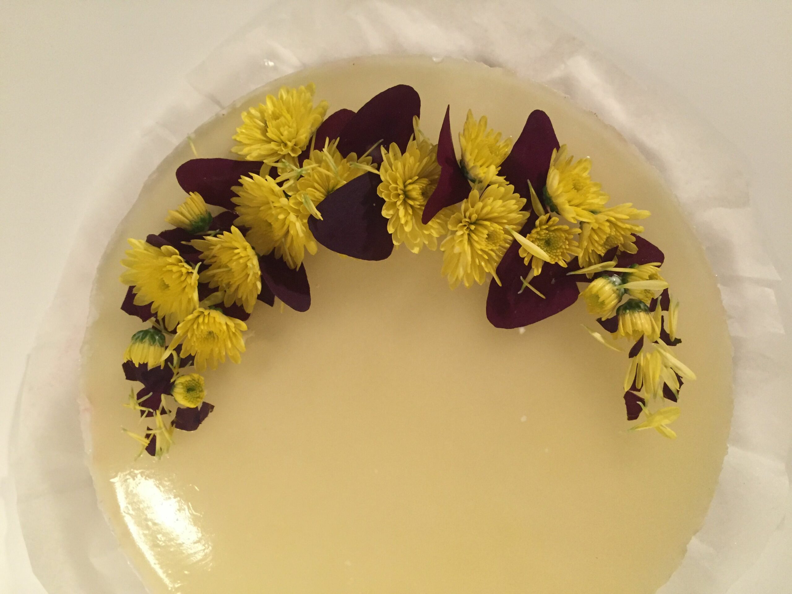 Cheesecake med blommekompot