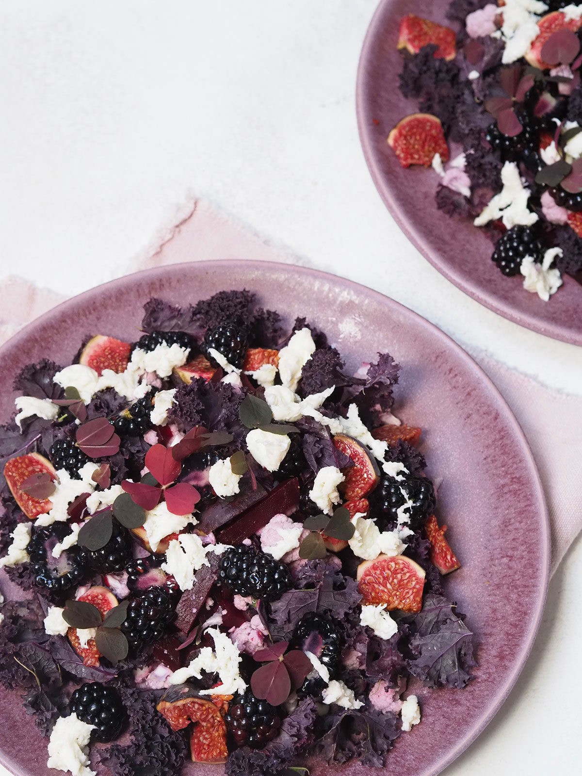 Salte Fristelser (e-bog)