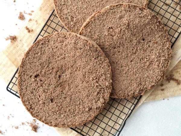 Glutenfri lagkagebunde, kakao